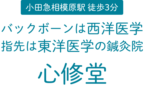 神奈川県座間市 小田急相模原駅徒歩3分 バックボーンは西洋医学 指先は東洋医学の鍼灸院 心修堂